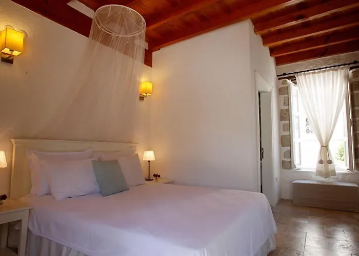 Panjur (adults Only)