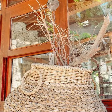 Panjur (adults Only) 2*