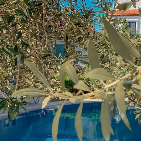 Hotel Panjur (adults Only) Alaçatı