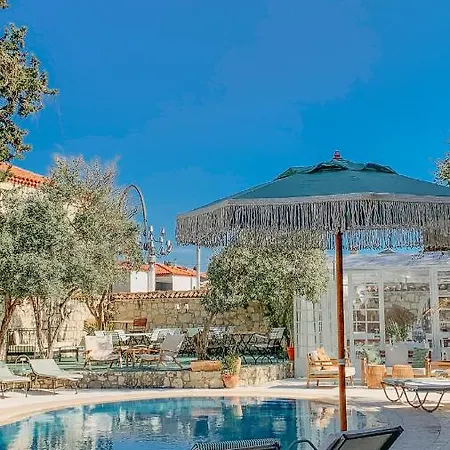 Hotell Panjur (adults Only)