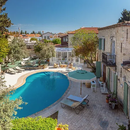 Panjur (adults Only)