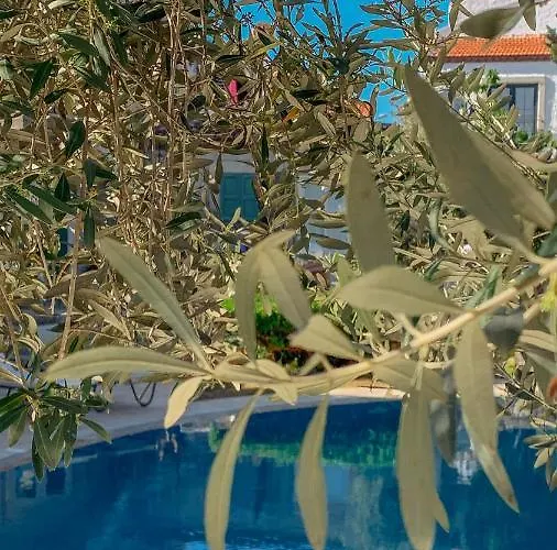 فندق Panjur (adults Only) ألاتشاتي