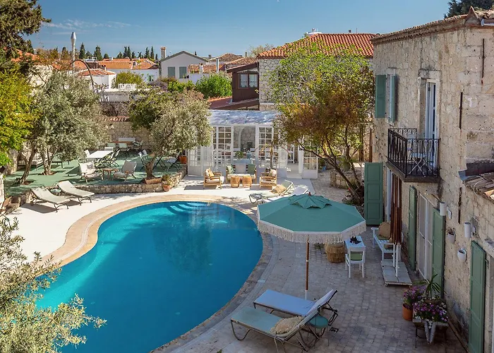 Panjur (adults Only)